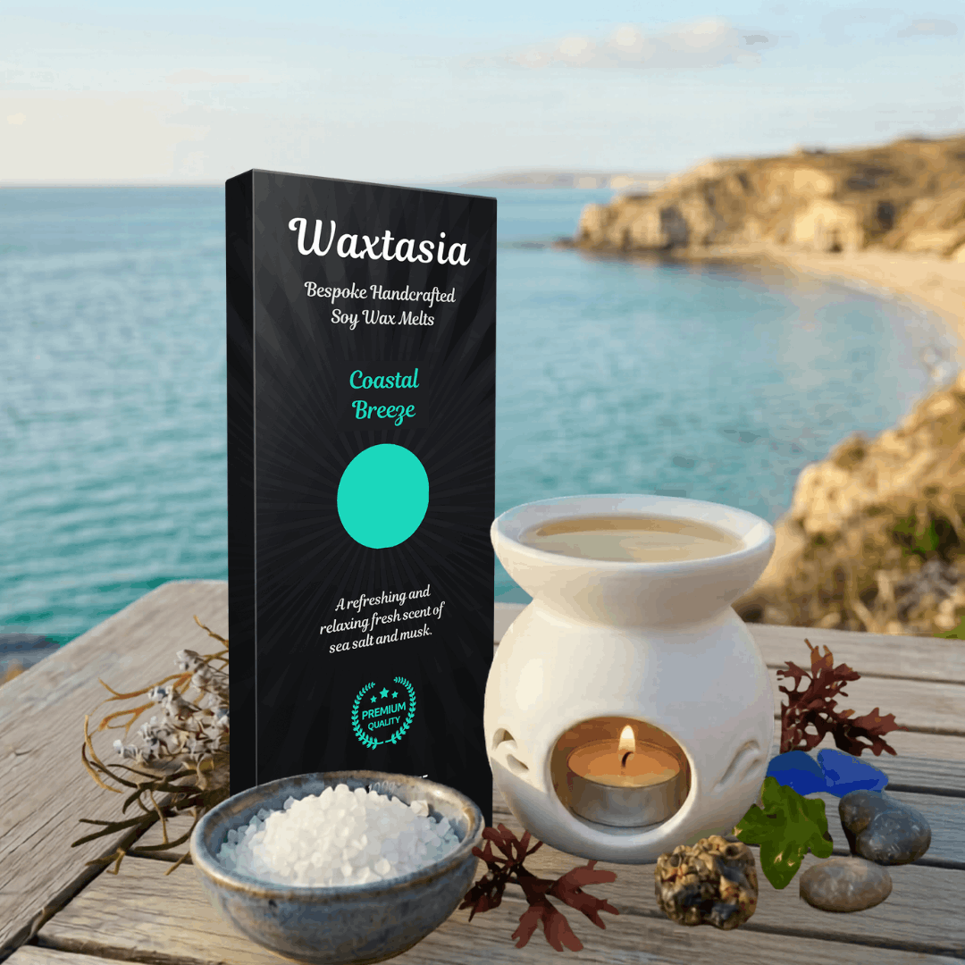 Costal Breeze sea salt and musk Scented Wax Melt2